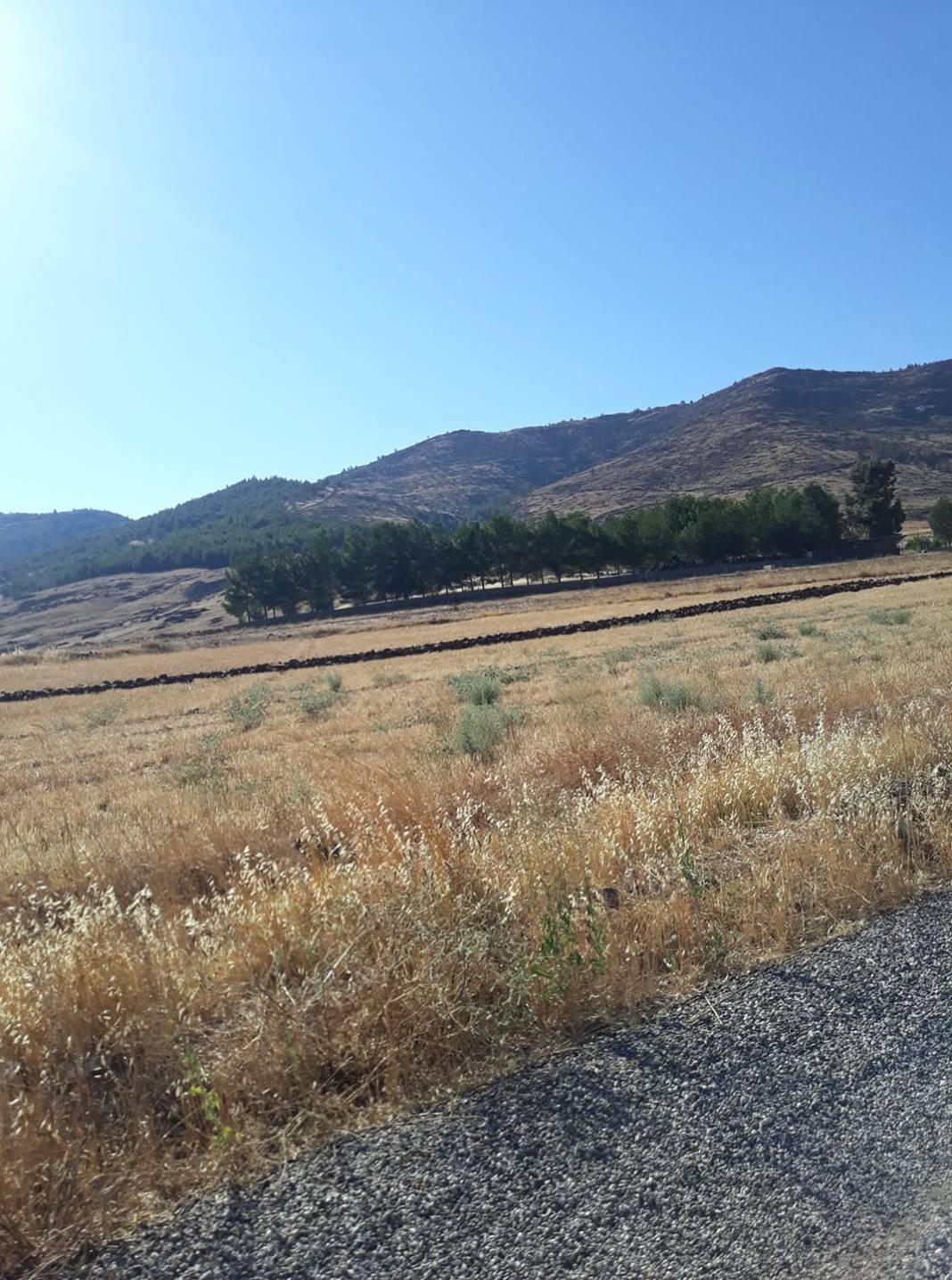 İslahiye Ağalarobası Köyü Resimleri 12