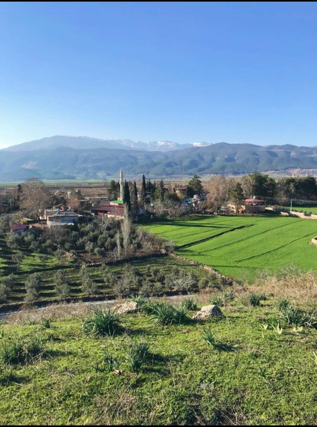 İslahiye Ağalarobası Köyü Resimleri 15