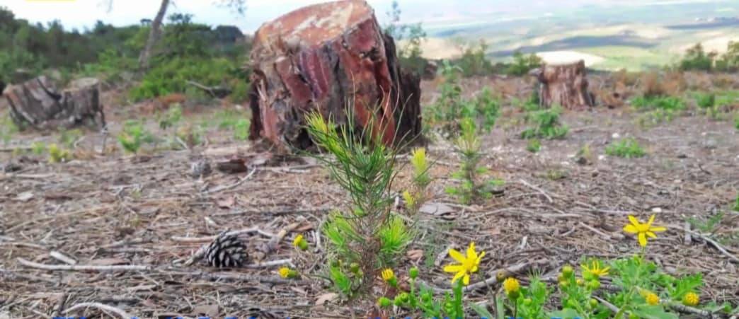 İslahiye Ağalarobası Köyü Resimleri 17