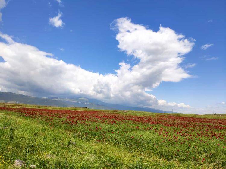 İslahiye Ağalarobası Köyü Resimleri 2
