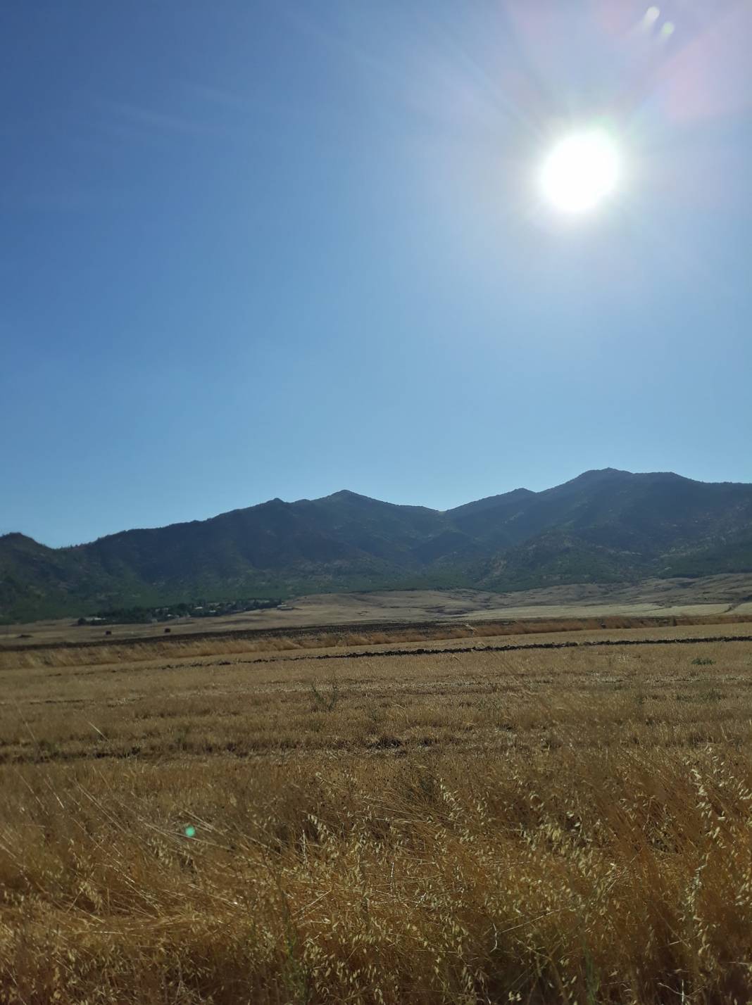 İslahiye Ağalarobası Köyü Resimleri 4