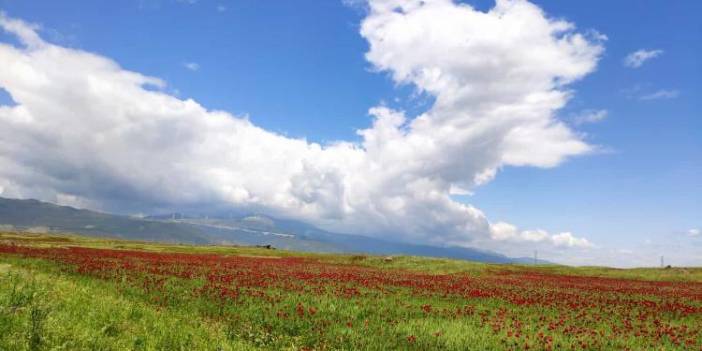 İslahiye Ağalarobası Köyü Resimleri