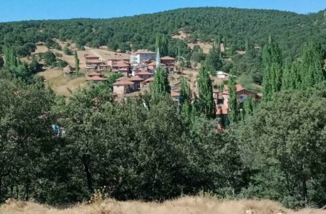 Aslanapa Bayramşah Köyü Resimleri 1