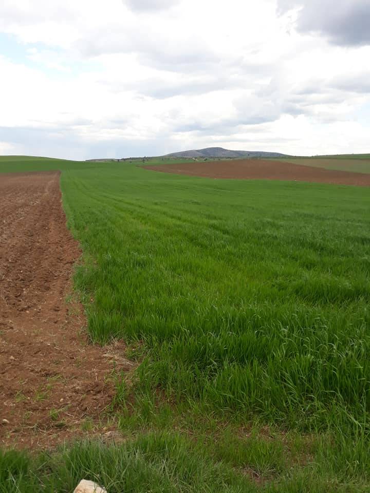 Aslanapa Bezirgan Köyü Resimleri 10