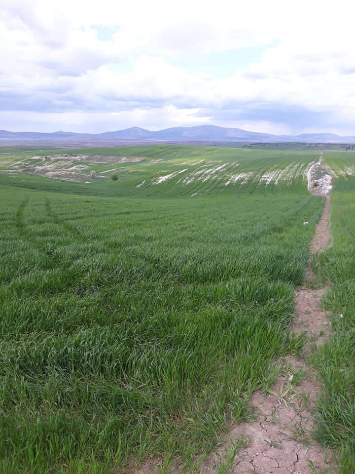 Aslanapa Bezirgan Köyü Resimleri 11