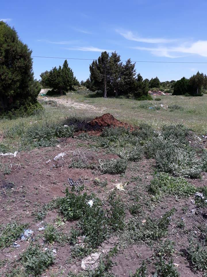 Aslanapa Bezirgan Köyü Resimleri 2