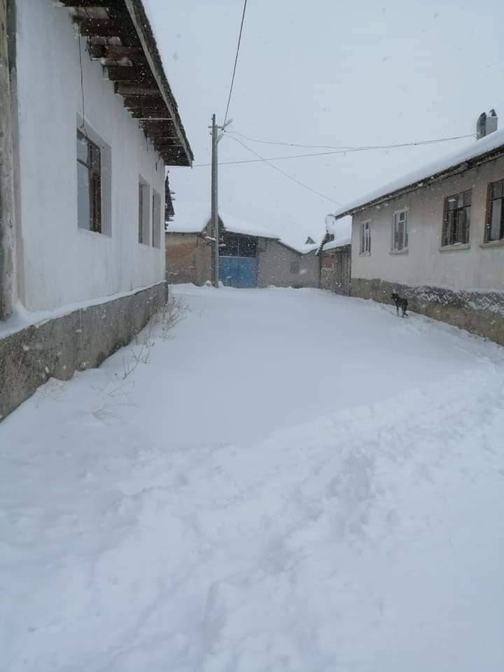 Aslanapa Bezirgan Köyü Resimleri 8