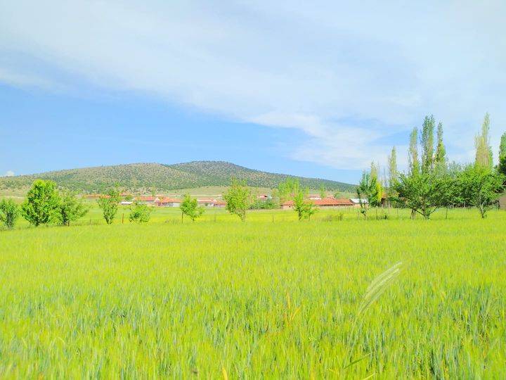 Aslanapa Çalköy Köyü Resimleri 2