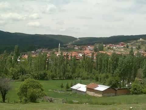 Aslanapa Çamdibi Köyü Resimleri 1