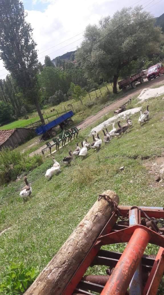 Aslanapa Çamdibi Köyü Resimleri 2