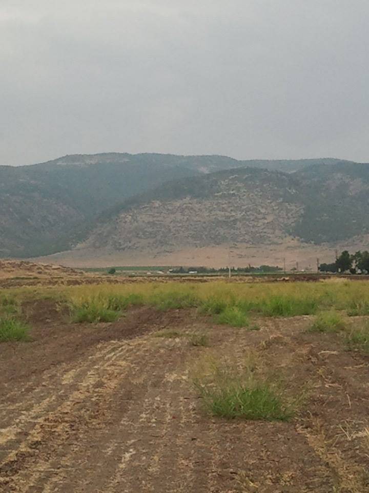 İslahiye Akınyolu Köyü Resimleri 5