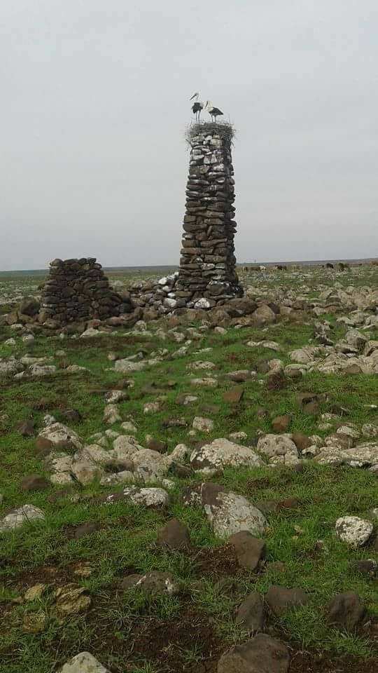 Derik Aydınlar Köyü Resimleri 4