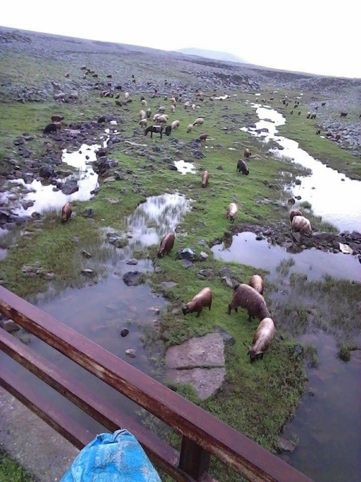 Derik Aydınlar Köyü Resimleri 5