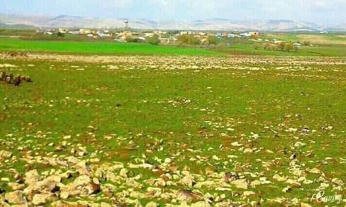 Derik Aydınlar Köyü Resimleri 7