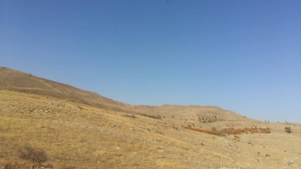 Akçadağ Aksüt Köyü Resimleri 3