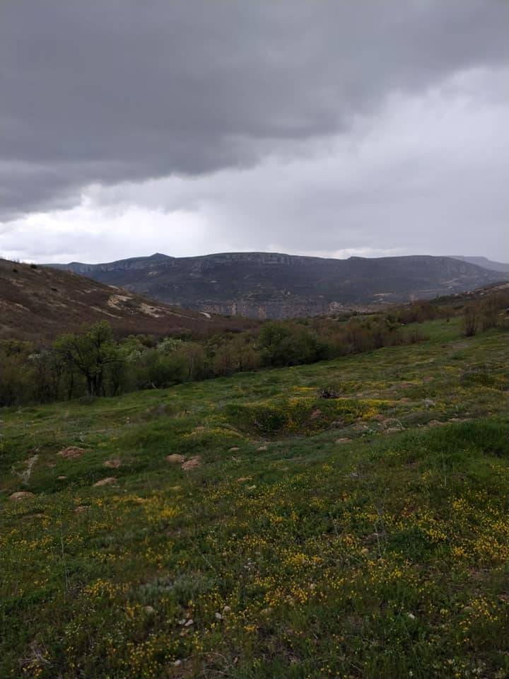 Akçadağ Aliçeri Köyü Resimleri 5