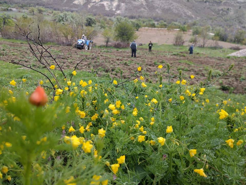 Akçadağ Aliçeri Köyü Resimleri 9