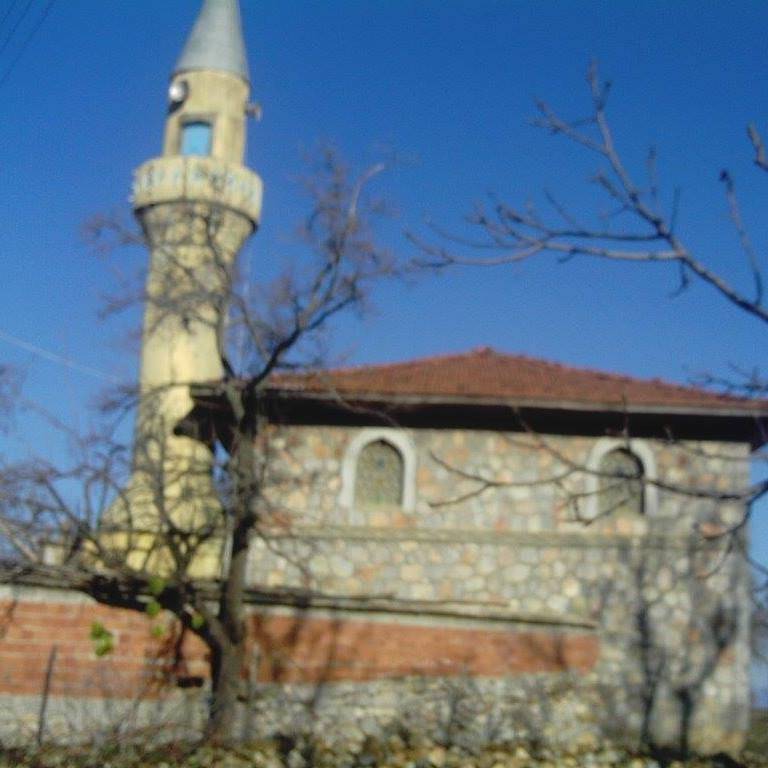 Akçadağ Altınlı Köyü Resimleri 2