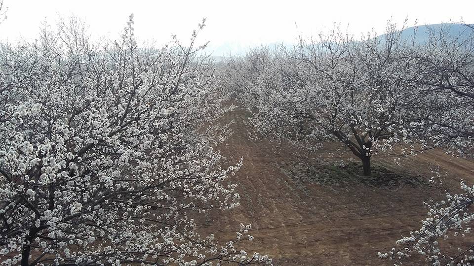 Akçadağ Aydınlar Köyü Resimleri 3