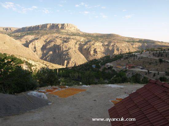 Akçadağ Bağköy Köyü Resimleri 2