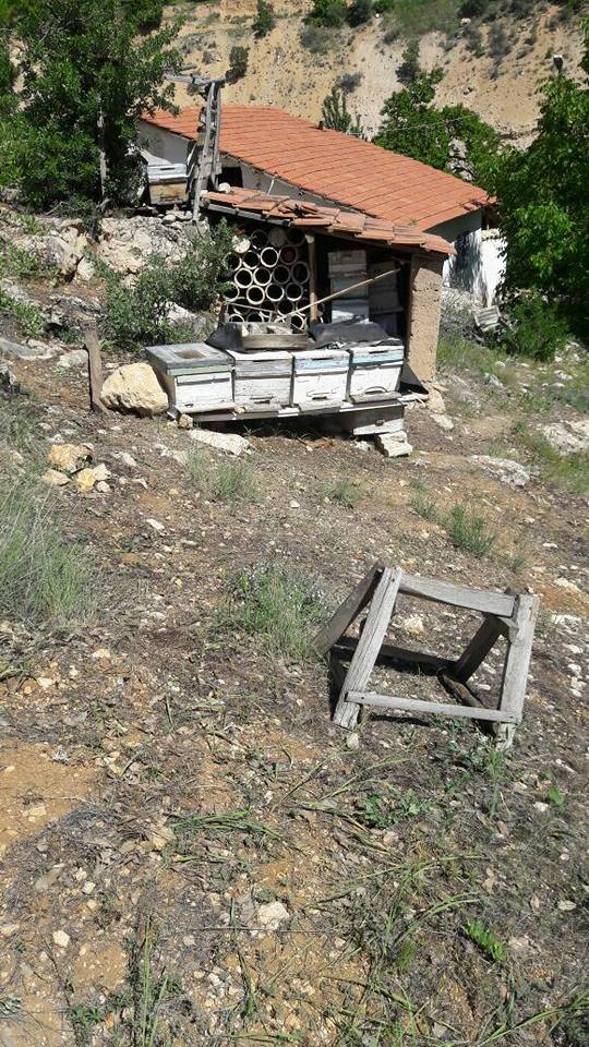 Akçadağ Bağköy Köyü Resimleri 5