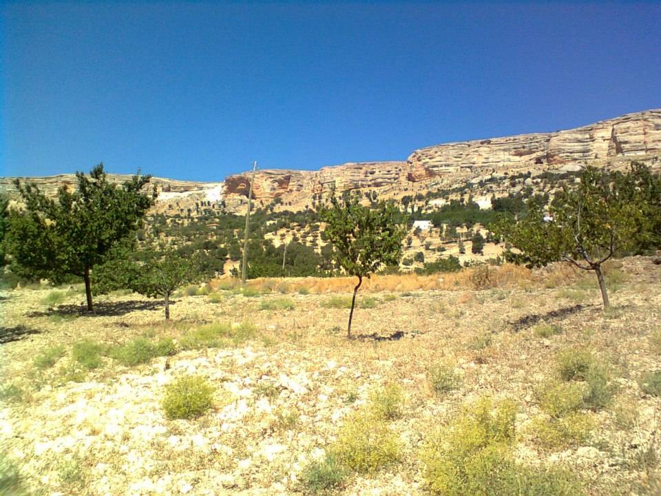 Akçadağ Bağköy Köyü Resimleri 8