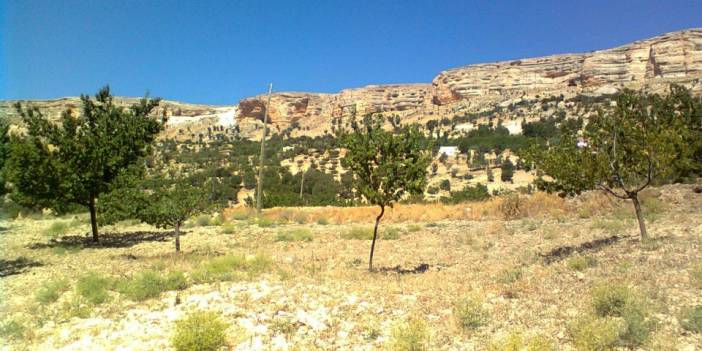 Akçadağ Bağköy Köyü Resimleri