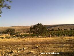 Derik Bağarası Köyü Resimleri 3