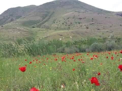 Akçadağ Bekiruşağı Köyü Resimleri 3
