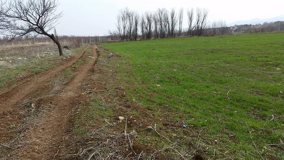Akçadağ Bölüklü Köyü Resimleri 2