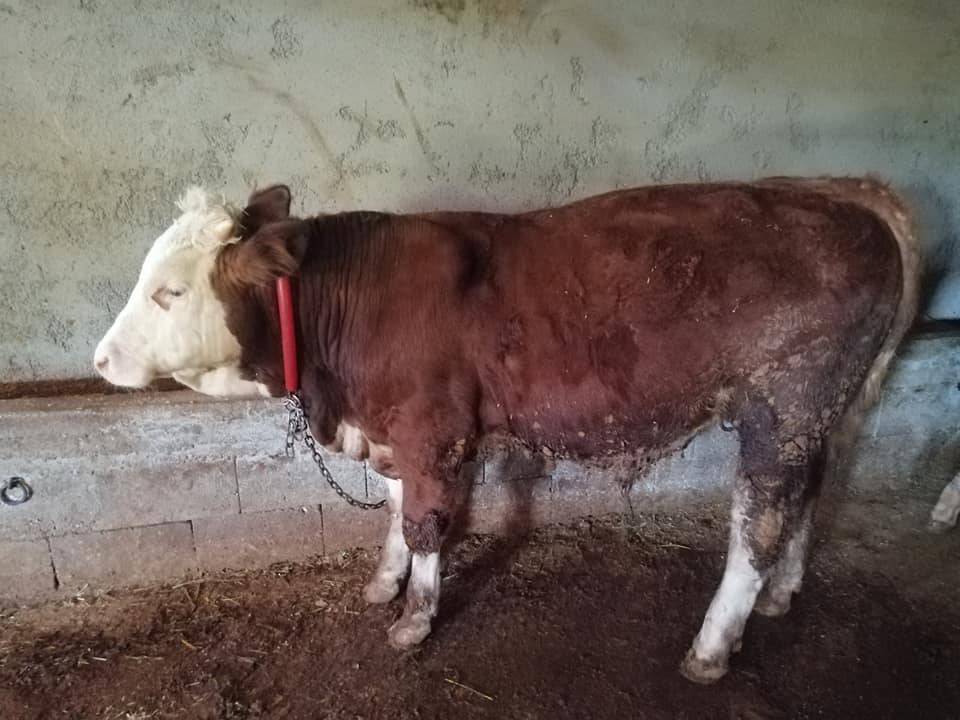 Akçadağ Bölüklü Köyü Resimleri 3