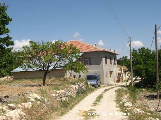 Akçadağ Büyükköy Köyü Resimleri 2