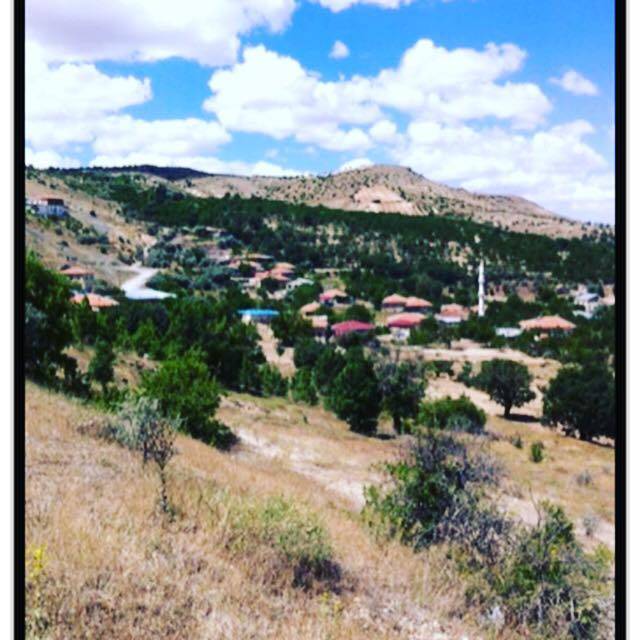 Akçadağ Çatalbahçe Köyü Resimleri 3