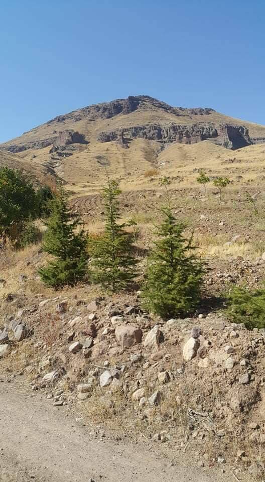 Akçadağ Çevirme Köyü Resimleri 5