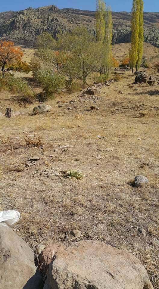 Akçadağ Çevirme Köyü Resimleri 6