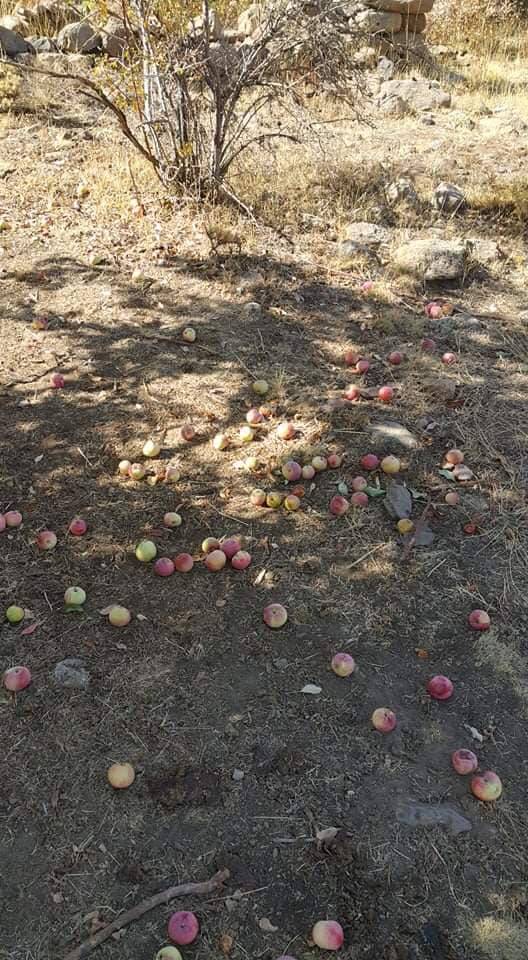 Akçadağ Çevirme Köyü Resimleri 8