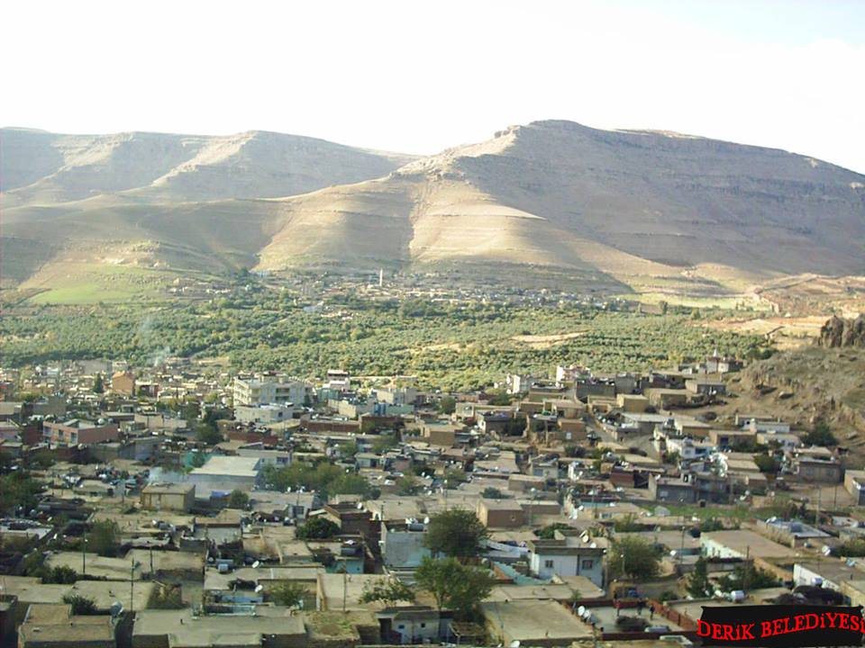 Derik Ballı Köyü Resimleri 3
