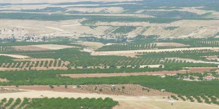 Akçadağ Dedeköy Köyü Resimleri