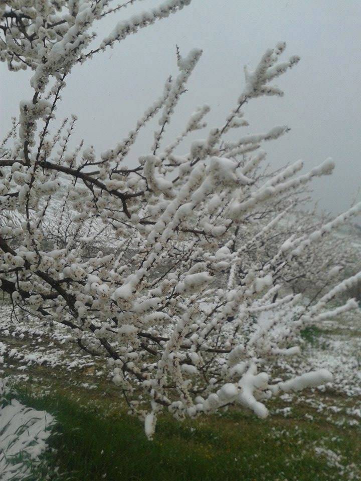 Akçadağ Doğanlar Köyü Resimleri 2