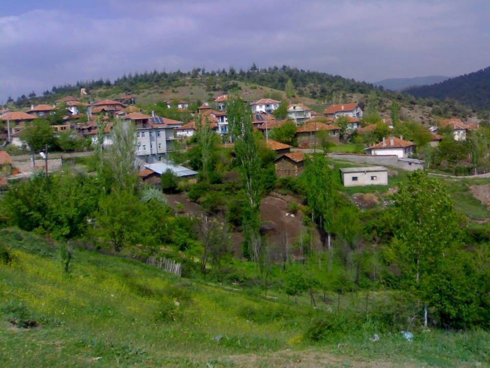 Akçadağ Doğanlar Köyü Resimleri 6