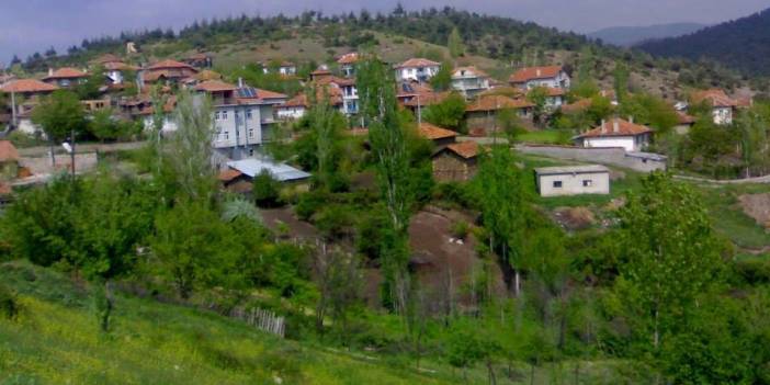 Akçadağ Doğanlar Köyü Resimleri