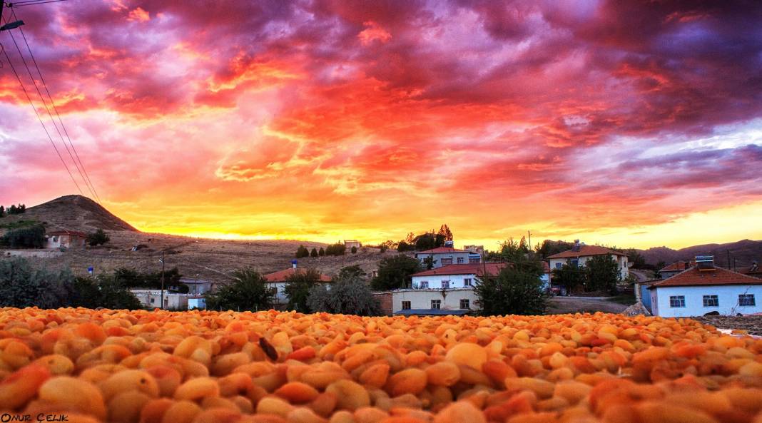 Akçadağ Doğantepe Köyü Resimleri 3