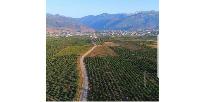 İslahiye Boğaziçi Köyü Resimleri