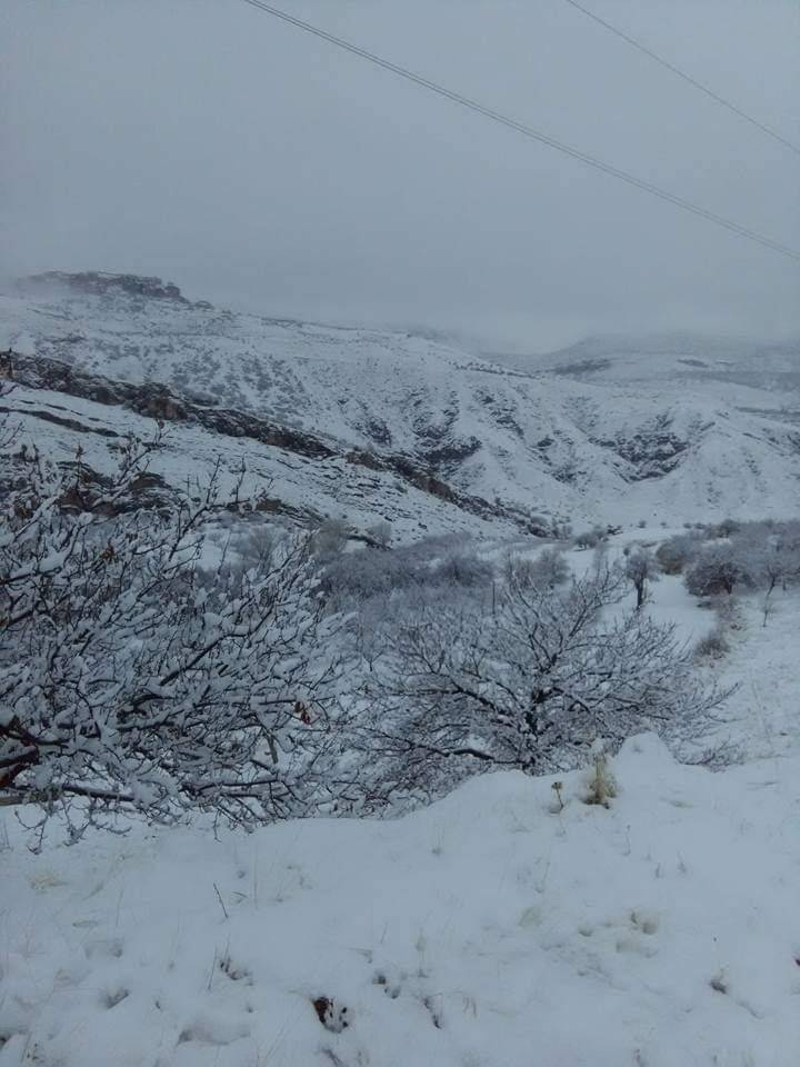 Akçadağ Dümüklü Köyü Resimleri 3