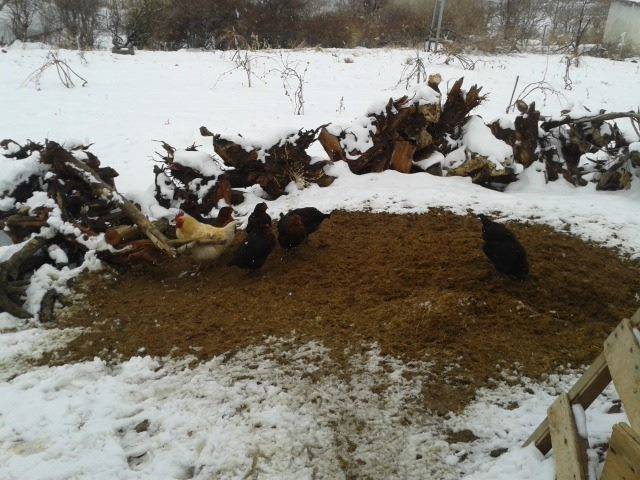 Akçadağ İkinciler Köyü Resimleri 3