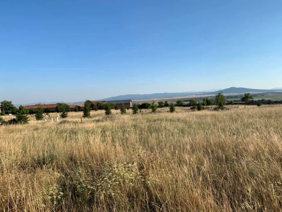 Aslanapa Haydarlar Köyü Resimleri 16