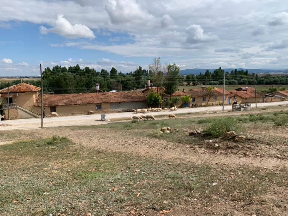 Aslanapa Haydarlar Köyü Resimleri 8