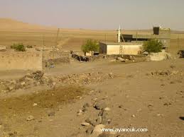 Derik Bayraklı Köyü Resimleri 1