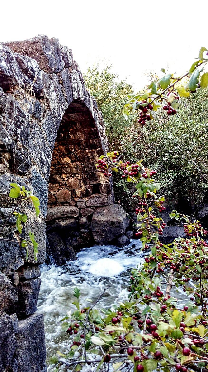 İslahiye Çolaklar Köyü Resimleri 8