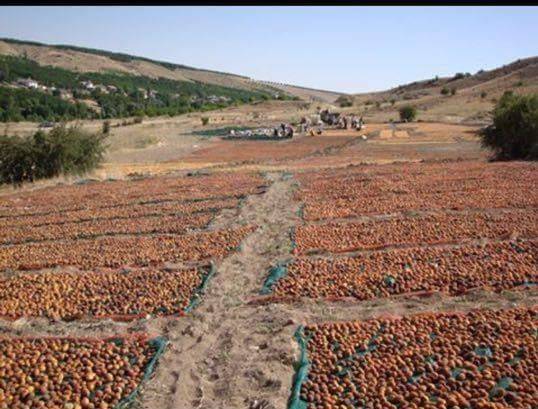 Akçadağ Kömekavak Köyü Resimleri 1